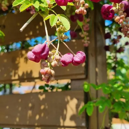 Turmalin شقة Władysławowo