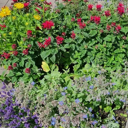 شقة Turmalin Władysławowo