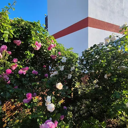 Turmalin * Władysławowo