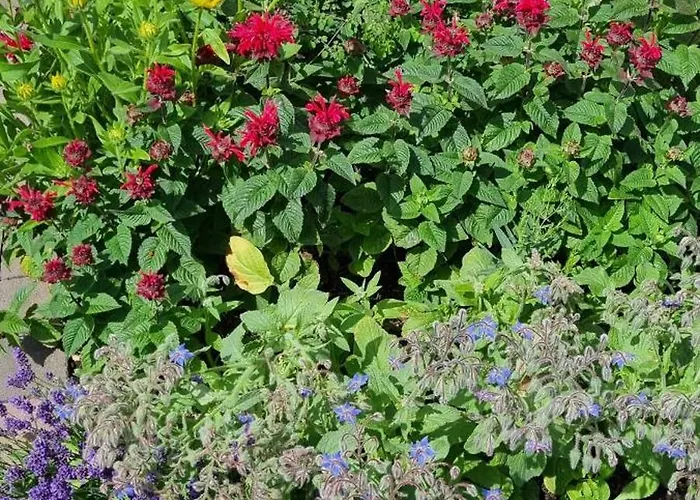 Apartamento Turmalin Władysławowo