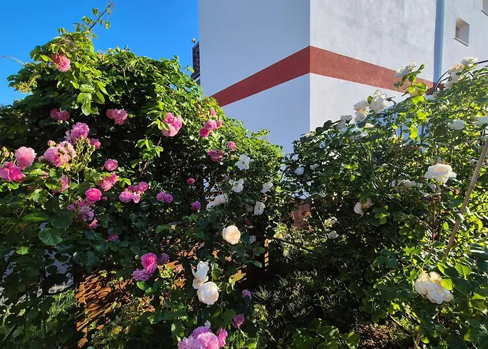 Turmalin * Władysławowo